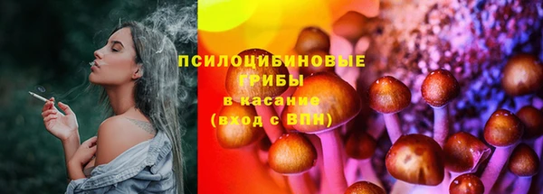 крисы Алексеевка