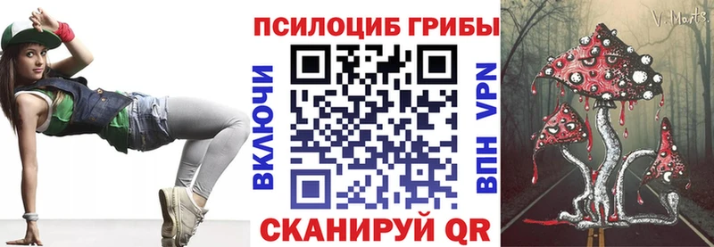 Галлюциногенные грибы Psilocybe  Купить где  Новотитаровская 